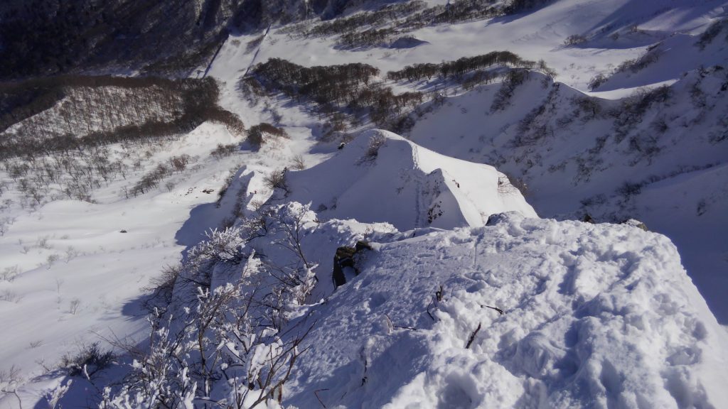 大山八合尾根