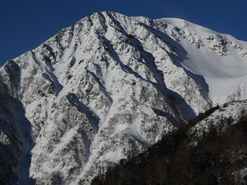 冬合宿（南アルプス赤石岳－富士見平まで）　（係）三谷